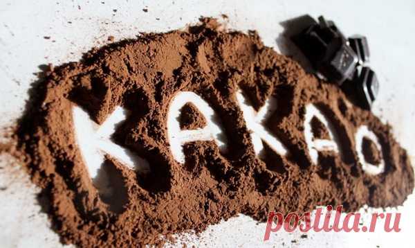 Какао укрепляет иммунитет Специалисты провели исследование и установили полезные свойства какао. Данный порошок может способствовать укреплению иммунитета, положительно воздействуя на здоровье. Приближается осень, а потому вскоре начнётся сезон вирусных заболеваний. Медики рекомендуют для профилактики употреблять...