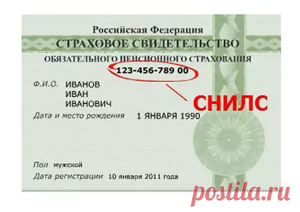Отмена карточки СНИЛС в России: срок, порядок перехода