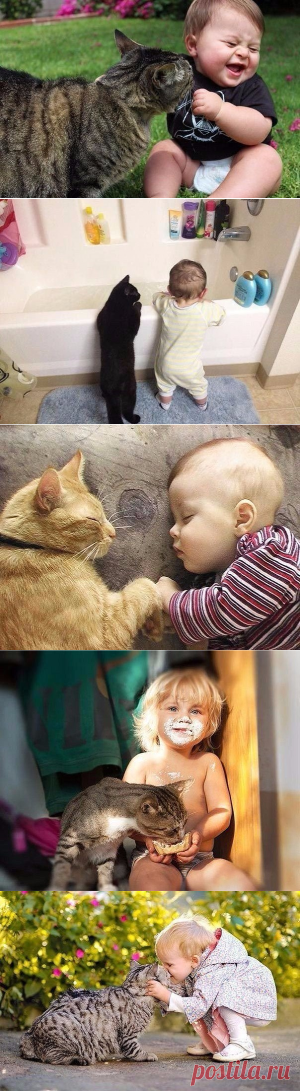 Ребенку нужен кот. Доказано.