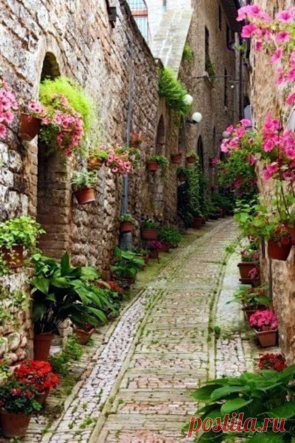 Уютные улочки с цветами. Эльзас, Франция