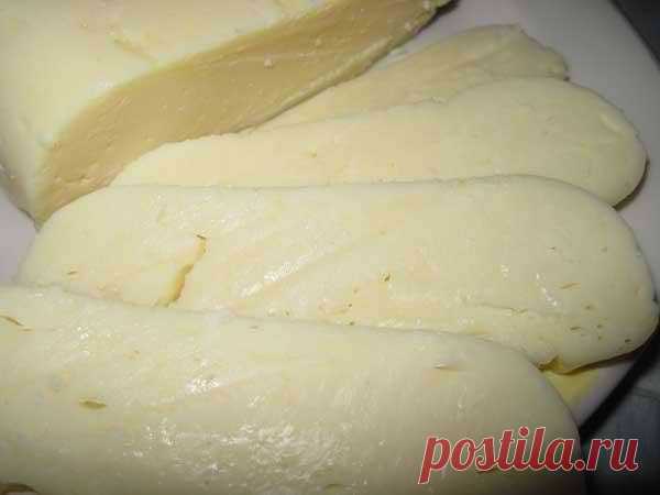 Низкокалорийный сыр собственного приготовления / Экспериментальная Кухня