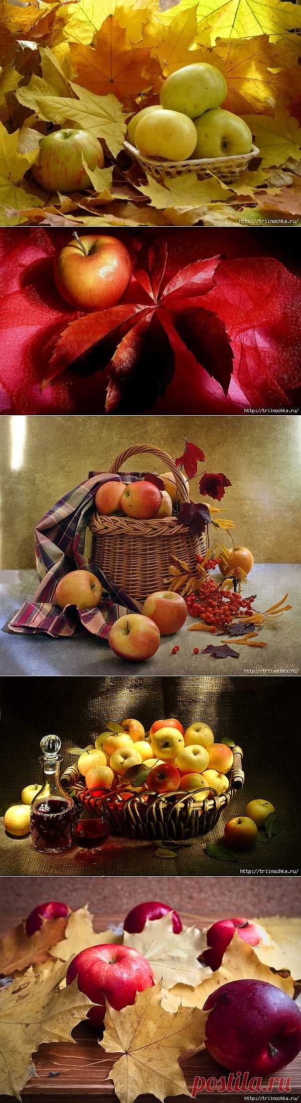 Натюрморты с осенними яблоками.