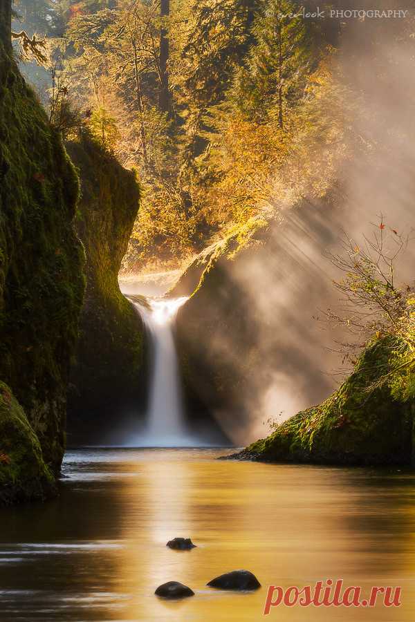 mxtraculous • drxgonfly: Before Collapse (by Dylan Toh)