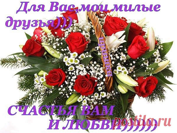 Друзья, живите много лет
И каждый день творите чудо,
Пусть счастье с вами будет всюду,
Как солнца утреннего свет.
Друзья мои, храни вас Бог,
И тех, кто вам безмерно дорог.
Пусть будет путь ваш чист и долог,
Гостеприимен ваш порог.
Пусть будет так и только так!
И если Ангелам не сложно,
Чуть-чуть удачи, если можно.
Друзья мои, земных вам благ!