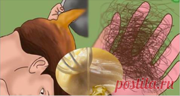 Пиво и яйца. Маска для волос: ваши волосы будут расти как сумасшедшие и перестанут выпадать! Попробуйте эту маску и поделитесь своими положительными результатами. Выпадение волос является ежедневной проблемой, решение которой порой найти крайне