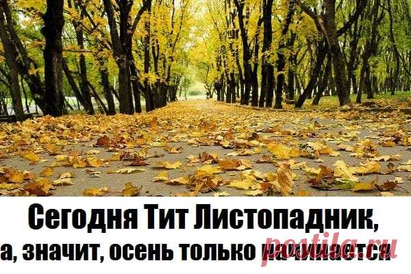 Тит Листопадник 7 сентября.
От всего сердца поздравляем с прекрасным праздником. Пусть Господь хранит вас долгие годы, оберегает и наставляет. Пусть в вашем доме царит мир, покой и гармония.