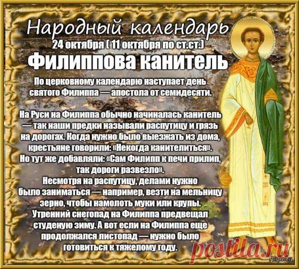 Добра, удачи, теплоты,
Побольше счастья и любви,
Успехов, молодости, сил,
Тебе мы пожелать хотим. Открытки на Филиппову Канитель.