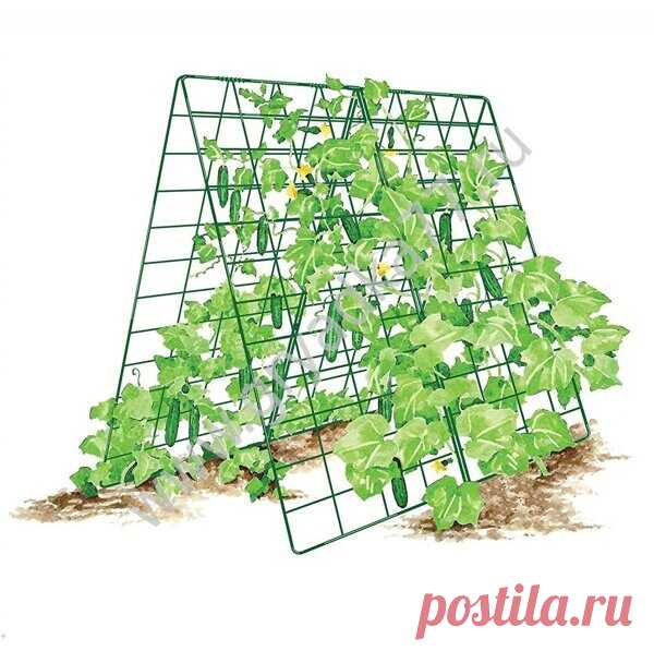 Шпалеры садовые: купить в Москве от производителя | Gryadka77