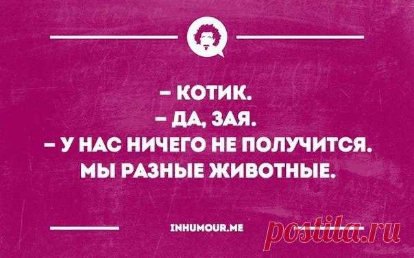 Интеллектуальный юмор