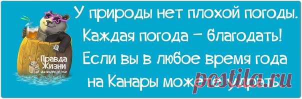 Прикольные фразочки в картинках для хорошего настроения