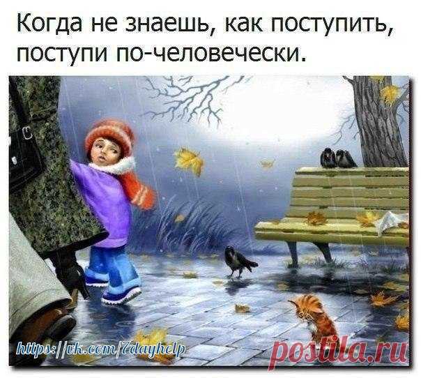 #психология #саморазвитие #цитаты #эзотерика #фразы #обучение #высказывания