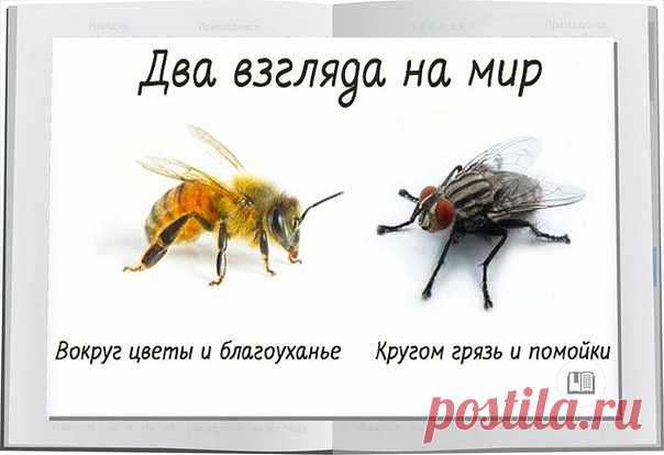 ПРИТЧА ДНЯ
Если спросить муху, есть ли здесь в окрестностях цветы, то она ответит: «Не знаю. А вот навоза, нечистот вон в той канаве полным-полно». И муха начнёт по порядку перечислять все помойки, на которых она побывала.
А если спросить пчелу: «Не видела ли ты здесь в окрестностях какие-нибудь нечистоты?», — то она ответит: «Нечистоты? Нет, не видела нигде. Здесь так много благоуханных цветов!».
Муха на самом цветущем лугу найдёт нечистое место и сядет на него, а пчела в...