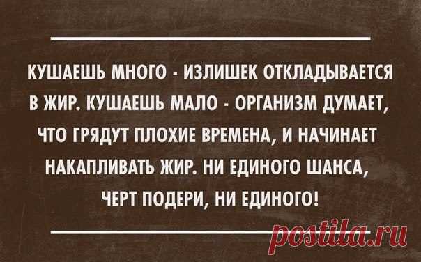 В точку! Свежий сборник / Писец - приколы интернета