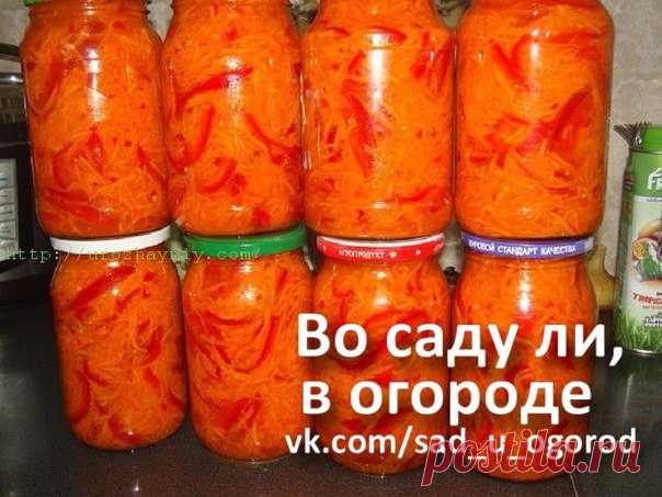 Салат Огонек на зиму.

Нам понадобится:
4 кг моркови, натертой на корейской терке (вес очищенной и натертой моркови),
2 кг перца болгарского,
Показать полностью…