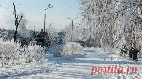 Зима в Подмосковье | Восток Подмосковья плюс Фото Альберта Ханбикова