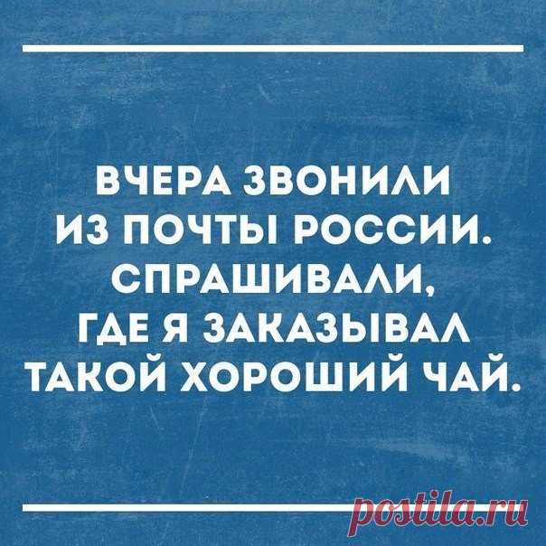 5 ВАЖНЫХ ПРАВИЛ ПО УХОДУ ЗА КЛУБНИКОЙ В ИЮЛЕ И АВГУСТЕ Сохраните, чтобы не потерять! Душистая ягода уже отходит, значит, наступила середина лета. И уже пора начинать ухаживать за кустиками клубники, чтобы обеспечить себя урожаем в следующем году. Ведь в июле, августе и сентябре у клубники наступает вторая волна наращивания листьев, отрастание новых рожков (прикорневые однолетние мини-кустики) и закладка новых цветковых почек. В рожках откладываются питательные вещества. Именно их садовая…