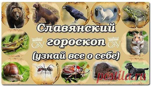 А теперь узнайте, кто вы есть на самом деле.

Темный Сох (Лось) 1912 1928 1944 1960 1976 1992 2008

Жалящий Шершень (Оса) 1913 1929 1945 1961 1977 1993 2009

Притаившийся Лют (Волк) 1914 1930 1946 1962 1978 1994 2010

Огненная Векша (Белка) 1915 1931 1947 1963 1979 1995 2011

Жемчужная Щука 1916 1932 1948 1964 1980 1996 2012

Бородатая Жаба 1917 1933 1949 1965 1981 1997 2013

Дикий Вепрь (Кабан) 1918 1934 1950 1966 1982 1998 2014

Белый Филин 1919 1935 1951 1967 1983 1999 2015..