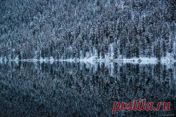 «Симметрия покоя». Озеро Чейбеккёль, Алтай. Автор фото — Светлана Казина: