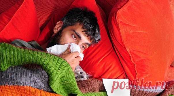 Защита от гриппа: 10 способов быстро уничтожить вирус