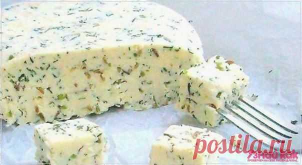 Как сделать домашний сыр с зеленью и тмином | Полезные советы