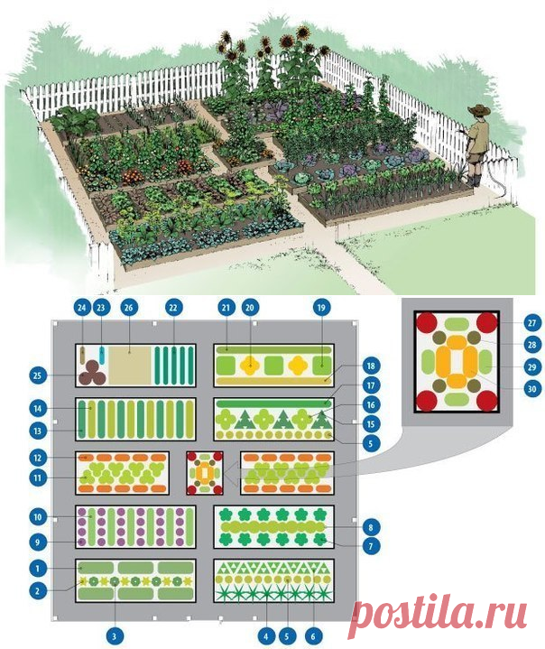 Долго искала схему овощной клумбы, чтоб все культуры находились в в... » Новости Казахстана, все последние новости России и новости мира, новость дня