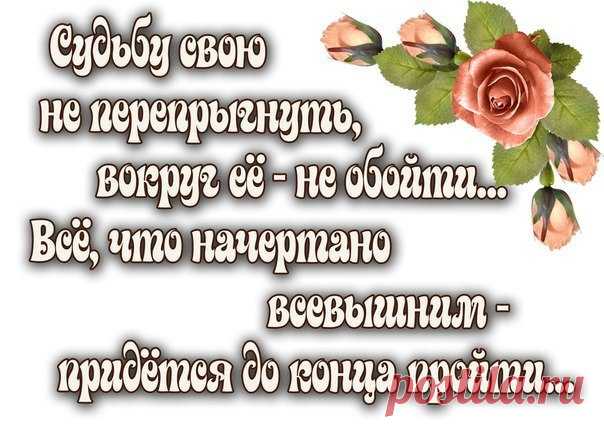 Обиды долго не держу...
Понять пытаюсь и прощаю...
Я исчезаю... Ухожу...
И в чёрный лист не помещаю...

Держусь подальше от интриг...
Жизнь без того бывает злая...
Ну, просто люди не мои...
Ну, просто я совсем другая.
130214480_3517075_2513936355.jpg (604×427)