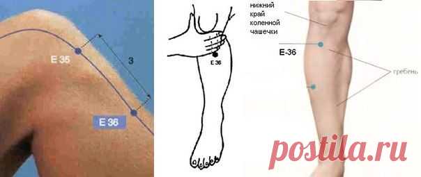 БЛОГ ПОЛЕЗНОСТЕЙ: Точка долголетия от ста болезней (Цзу-сан-ли, Е36)