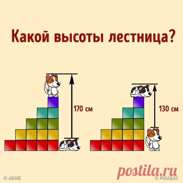 Как вы пришли к верному ответу? :):