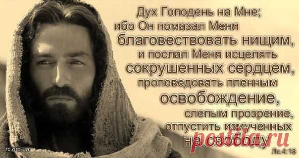 14	Не лишай себя доброго дня, и часть доброго желания да не пройдет мимо тебя. 
15	Не другим ли оставишь ты стяжания твои и плоды усилий твоих для раздела по жребию? 
16	Давай и принимай, и утешай душу твою, 
17	ибо в аде нельзя найти утех. 
18	Всякая плоть, как одежда, ветшает; ибо от века - определение: "смертью умрешь". 
19	Как зеленеющие листья на густом дереве - одни спадают, а другие вырастают: так и род от плоти и крови - один умирает, а другой рождается. 
(кн.СИРАХ.14:..)