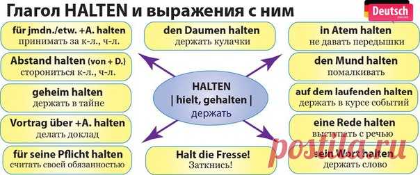 🇩🇪 Глагол HALTEN и выражения с ним  / Изучение немецкого языка