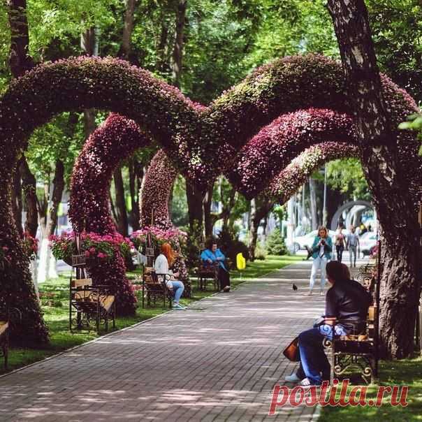 Сердечная аллея. Химки, Московская область