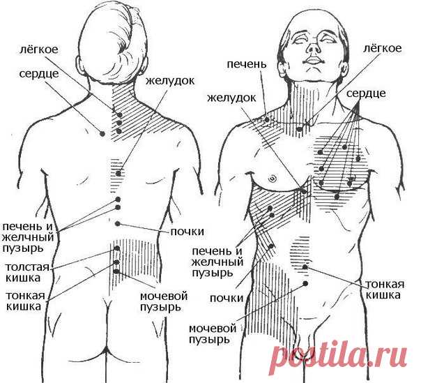 Все болезни делятся по зонам тела : Все болезни делятся по зонам тела : • 1. Болезни и беспокойства, находящие в основании копчика - позвоночник, ноги, ступни, в целом все кости, связки и хрящи. А также прямая и толстая кишки. Если Человек теряет хорошую связь с Землей и физическим миром, посредством страхов и пренебрежительного отношения к своему физическому телу, к природе, к животным, к растениям, то возникают проблемы в этой зоне. • 2. Болезни и проблемы, проявленные в...