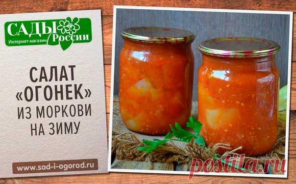 САЛАТ «ОГОНЕК» ИЗ МОРКОВИ НА ЗИМУ.

Рецепт:
4 кг моркови, натертой на корейской терке (вес очищенной и натертой моркови),
2 кг перца болгарского,
1 кг лука,
4 головки чеснока,
2 ст.л. соли,
8 ст.л. сахара,
0,250 мл 9% уксуса,
0,150 гр масла растительного,
1 стакан кипяченной воды,
0,250 гр аджики.

Морковь натереть на корейской терке, перец нарезать тонко полосками вдоль.

Лук нарезать полукольцами, чеснок пропустить через пресс.

Добавить 2 ст.л соли, 8 ст.л. сахара, 0,25...