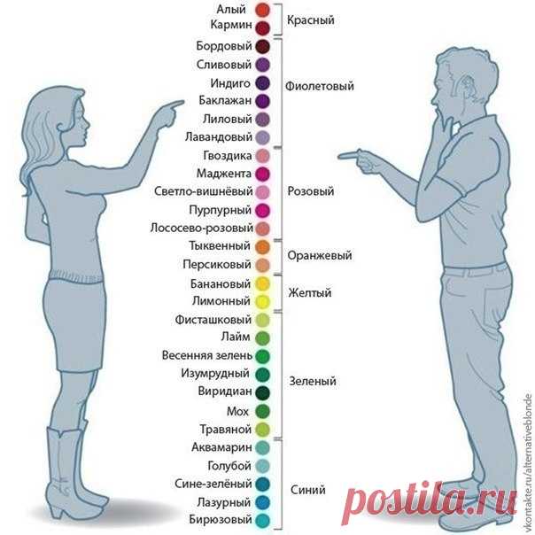 Сочетаем цвета правильно