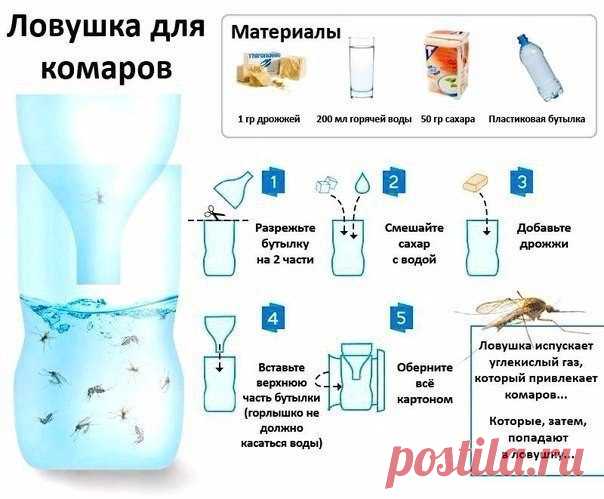 Простой рецепт натуральной самодельной ловушки для комаров. Скоро пригодится.