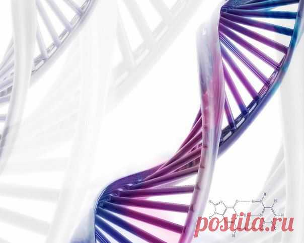 У генетического кода ДНК есть второе значение.