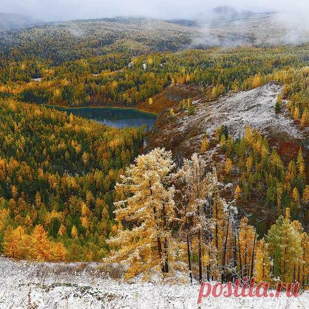 Золотая осень в серебре. Вершина перевала Кату-Ярык, Алтай. Автор фото – Константин Маланин: nat-geo.ru/photo/user/311639/