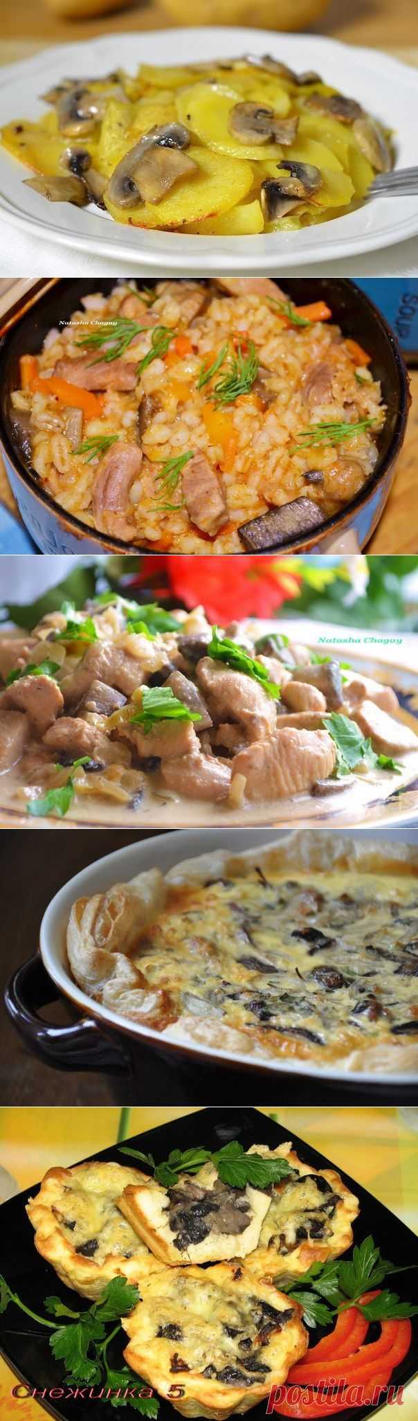 10 СУПЕР-РЕЦЕПТОВ приготовления блюд из грибов