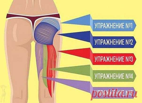 ТВОЯ ПОПА БУДЕТ ГОРЕТЬ! 
Это же самая привлекательная часть тела, качай её пожалуйста 

1. Ягодичный мостик 
Это упражнение следует выполнять в положении лежа на спине. Расставь ноги на ширину плеч и начинай поднимать бедра параллельно полу. Сделай 3 подхода по 15 раз. Хрупким девушкам, не привыкшим к нагрузкам, ни в коем случае нельзя сразу брать тяжелый груз. 

2. Выпады 
Расставь ноги на ширину плеч, поставь руки на пояс. Выполни выпад левой ногой, побудь некоторое врем...