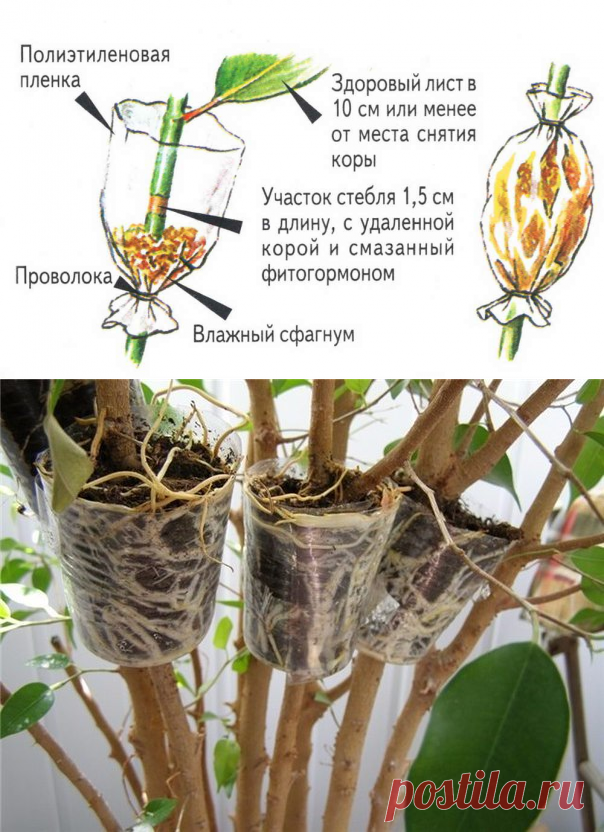 Воздушные отводки.