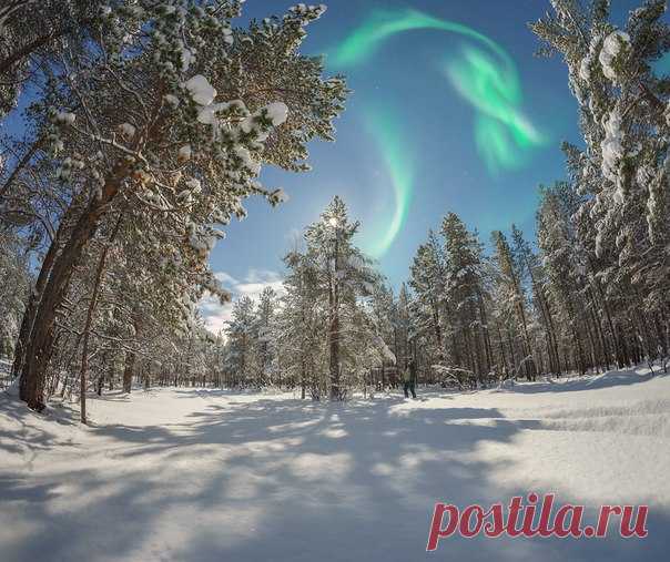 Северное сияние над Мурманской областью 4 декабря. Автор фото – Дмитрий: nat-geo.ru/photo/user/341087/