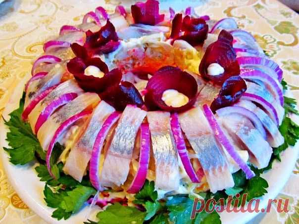 шеф-повар Одноклассники: ​Классический ​ рецепт салата «Селедка под шубой»