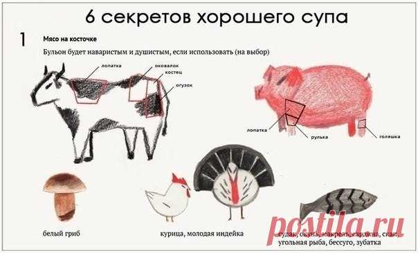 6 простых советов для приготовления аппетитного супа. Члены семьи точно попросят о добавке!