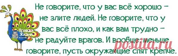 Позитивные фразочки в прикольных картинках