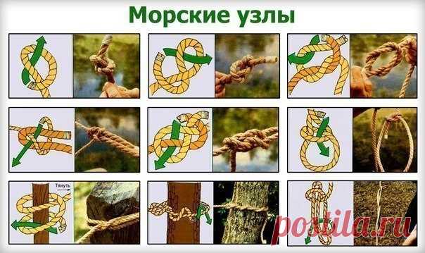 Морские узлы