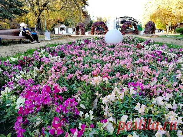 Роскошная осень! 😍🌼🌷🌹🌺🍁