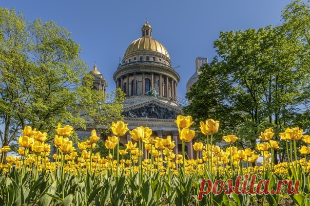 Весеннее настроение Санкт-Петербурга. Фотограф – Владимир Колесников: nat-geo.ru/photo/user/124136/ Доброе утро!