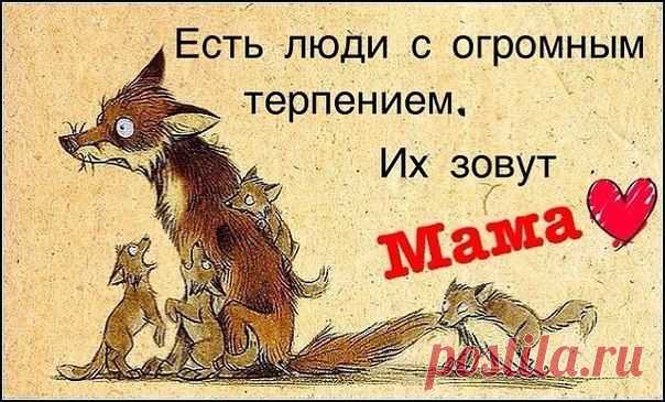 Мамы - они такие...