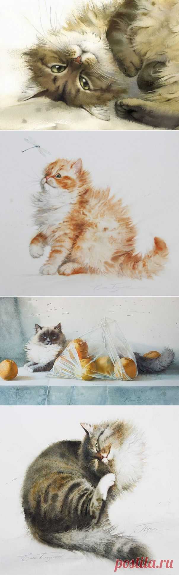 Кошки в акварельных работах Елены Базановой | Дай лапку
