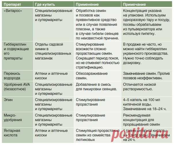 Ася Миколаївна